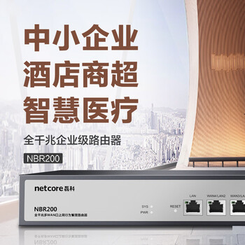 磊科（netcore）NBR200全千兆企业路由器 多WAN口 VPN虚拟专网/远程管理/AC管理/带宽叠加/策略路由
