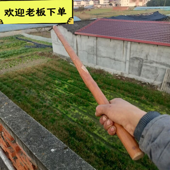 牛筋木- 京东