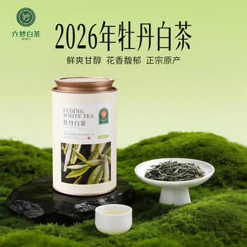 高級中国茶 福鼎白茶 白牡丹 6年物 福鼎特級白牡丹 中国茶 白茶
