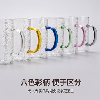 梵卡奇（FANKAQI）高颜值家用耐高温高硼硅玻璃杯套装带把手女士水杯