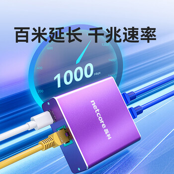 磊科（netcore）Z12G 一分二网线分线器 2网口转接头网络交换器 千兆交换机 电脑笔记本路由器IPTV机顶盒HUB分流器