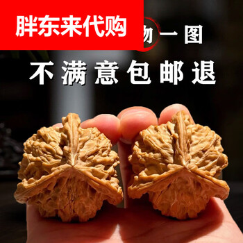 公子帽42价格报价行情- 京东