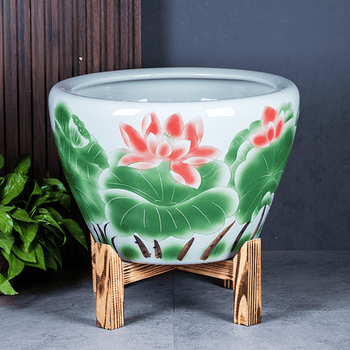荷花缸中养鱼品牌及商品- 京东