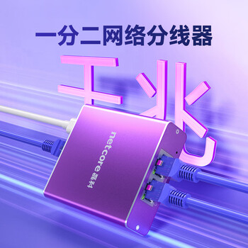 磊科（netcore）Z12G 一分二网线分线器 2网口转接头网络交换器 千兆交换机 电脑笔记本路由器IPTV机顶盒HUB分流器