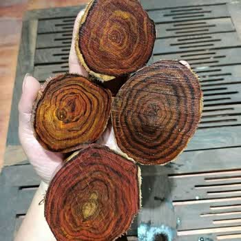 海南黄花梨根料品牌及商品- 京东