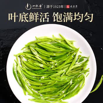 一杯香茶叶绿茶明前头采毛尖茶250g2026新茶春茶礼盒装送礼自己喝散装