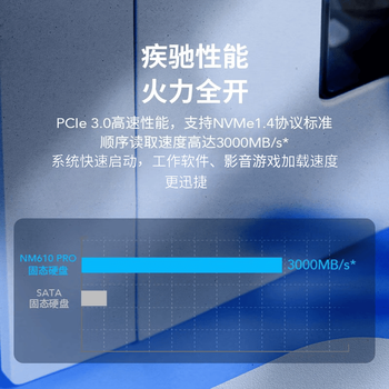雷克沙(Lexar)2TB SSD固态硬盘 M.2接口 NVMe协议 读速3300MB/s 快速加载 广泛兼容 固态硬盘 NM610 PRO系列 雷克沙(Lexar)2TB SSD固态硬盘 M.2接口 NVMe协议 读速3300MB/s 快速加载 广泛兼容 固态硬盘 NM610 PRO系列