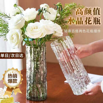 透明小花瓶价格报价行情- 京东