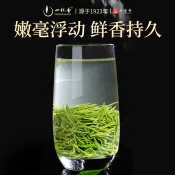 一杯香茶叶绿茶明前头采毛尖茶250g2026新茶春茶礼盒装送礼自己喝散装