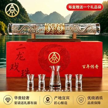 双龙戏珠- 京东