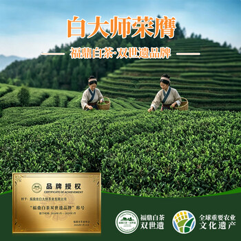 白大师茶叶正宗高山福鼎白茶限定款老白茶闷泡壶礼盒自喝送礼推荐420g