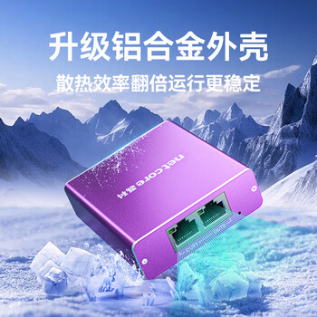 磊科（netcore）Z12G 一分二网线分线器 2网口转接头网络交换器 千兆交换机 电脑笔记本路由器IPTV机顶盒HUB分流器