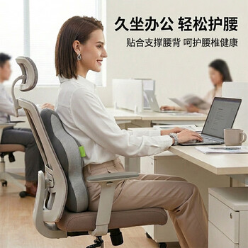 脊态（Back2）腰靠办公室护腰靠垫人体工学腰垫靠背护腰久坐神器汽车靠枕腰枕