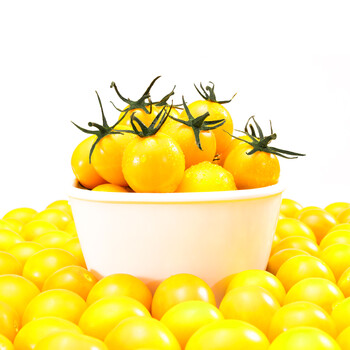 春沐源 西红柿 小番茄 柠黄蜜茄黄果 约500g