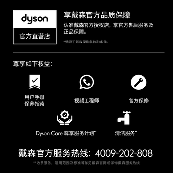 戴森（DYSON）AM07 无叶电风扇 落地扇 强劲稳定气流 进口空气循环扇 黑镍色