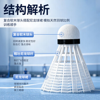 红双喜DHS耐打训练尼龙羽毛球塑料胶练习羽球6只装白色EG60