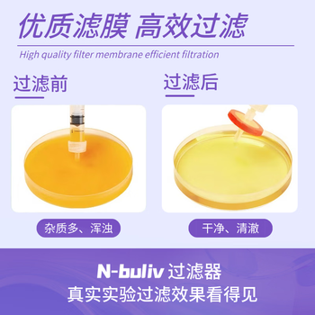 恩布里针式过滤器水系有机尼龙疏水一次性微孔滤头针筒式滤膜 【有机尼龙Nylon】13mm,0.22um 100个/盒 恩布里针式过滤器水系有机尼龙疏水一次性微孔滤头针筒式滤膜 【有机尼龙Nylon】13mm,0.22um 100个/盒