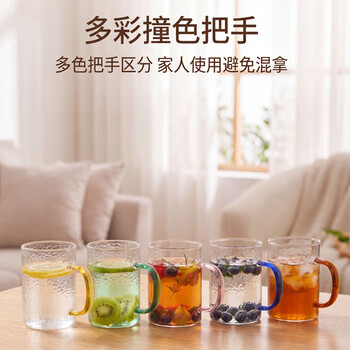 梵卡奇（FANKAQI）高颜值家用耐高温高硼硅玻璃杯套装带把手女士水杯