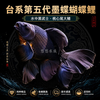 狮子头鱼身- 京东