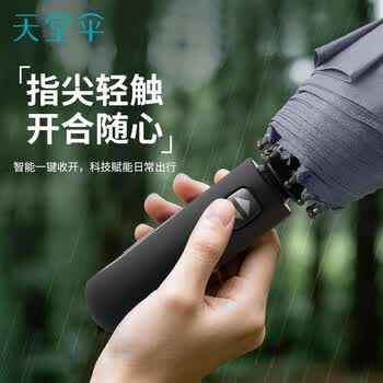 天堂伞 全自动雨伞三折 10骨加固一键开收易甩干简约商务自动伞 兰灰