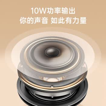 得胜（TAKSTAR）小蜜蜂有线扩音器 10W大功率长续航 抑制啸叫杂音 教学培训导游促销喇叭 E150S 黑色
