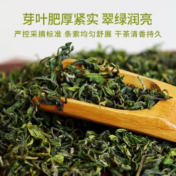 日照绿茶2026新茶横山天湖有机茶浓香型板栗香一级125g印象袋装山东特产