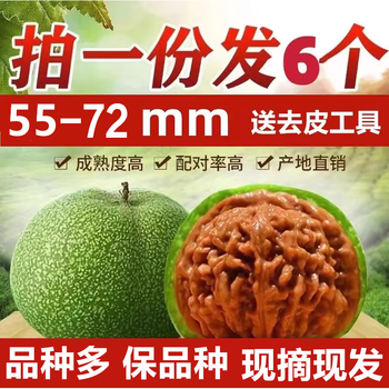 核桃文玩磨盘价格报价行情- 京东