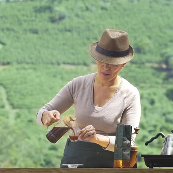 HARIO原装进口法压壶橄榄木咖啡壶茶壶冲茶器咖啡过滤网300ML