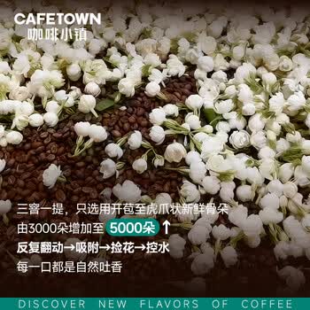 咖啡小镇茉莉山雪 意式拼配咖啡豆中度烘焙醇厚低酸浓缩拿铁奶咖 454g