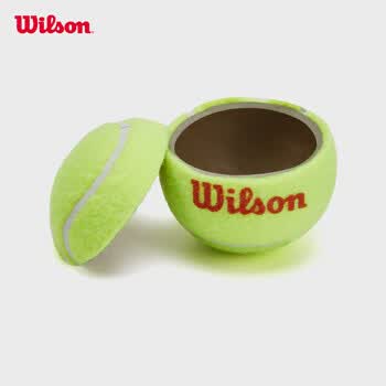 Wilson威尔胜青少年儿童训练网球低压缩网球耐磨Starter WRT137300