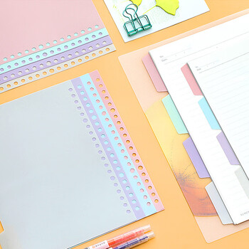 文谷（Wengu）A5分页纸20孔分类标签笔记本记事本隔页纸索引纸 手账替芯活页纸塑料通用有孔4张每包A5-4P