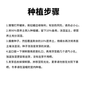 Touch Fish 小学生手工DIY小盆栽材料罐装易拉罐头桌面植物科学实验礼物奖品 喜上莓梢（草莓）
