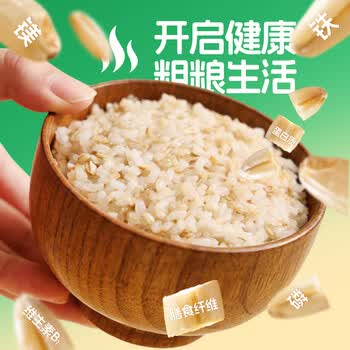 初谷钢切燕麦粒1200g罐装原味无添加蔗糖高纤麦片早餐谷物代餐