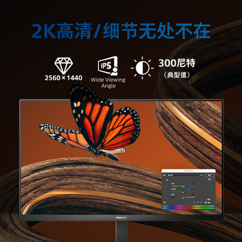 飞利浦 23.8英寸 2K IPS Type-C65W 低蓝光 网课 旋转升降 高清设计 办公显示器 娱乐显示屏 24E1N5600E