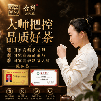 音朗 茶叶 安溪铁观音504g 2026新茶正宗特级兰香乌龙茶叶礼盒送领导