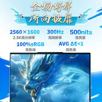 机械革命蛟龙16 Pro 潮玩版 16英寸商务办公笔记本电脑 定制 (R9-9955HX 32GB 1T SSD RTX5060-8G）