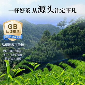 正山顶乌龙茶顶红凤凰单枞鸭屎香一级500g轻火自己喝散装茶叶礼盒送礼