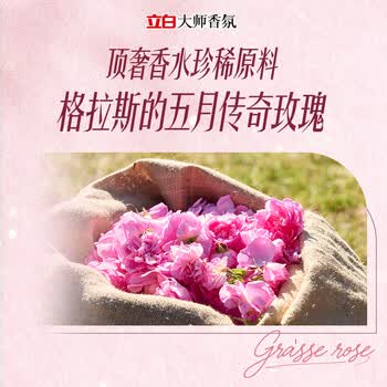 立白大师香氛洗衣液 格拉斯玫瑰4斤装 洗衣香水 香味持久  内衣可用