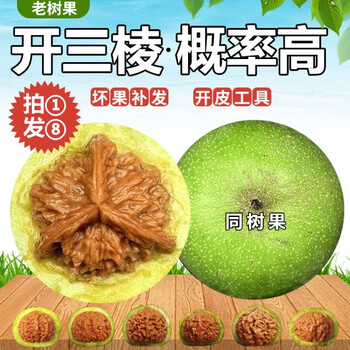 文玩核桃44价格报价行情- 京东