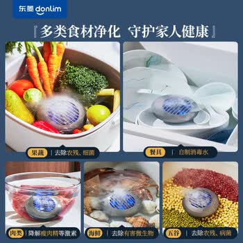 东菱（Donlim）果蔬清洗机 家用果蔬食材净化器 除菌气泡 无线双仓 荤素分类净化升级款DL-1271