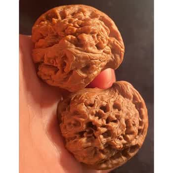 文玩核桃鹰嘴品牌及商品- 京东