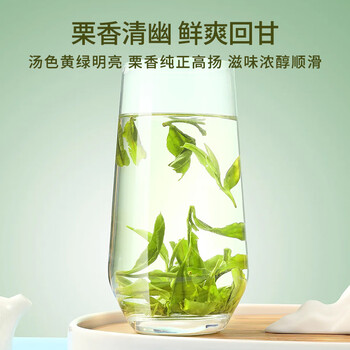 日照绿茶2026新茶横山天湖有机茶浓香型板栗香一级125g印象袋装山东特产