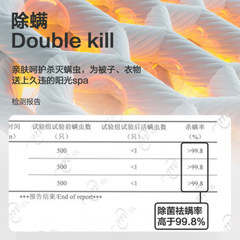 格力(GREE)【许我耀眼】多功能暖被机干衣机家用烘干机小型便携除螨杀菌烘被烘衣服烘鞋机风干机GNB01-X606A 格力(GREE)【许我耀眼】多功能暖被机干衣机家用烘干机小型便携除螨杀菌烘被烘衣服烘鞋机风干机GNB01-X606A