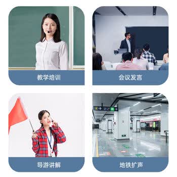 得胜（TAKSTAR）小蜜蜂有线扩音器 10W大功率长续航 抑制啸叫杂音 教学培训导游促销喇叭 E150S 黑色