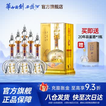 华山论剑20年52价格报价行情- 京东