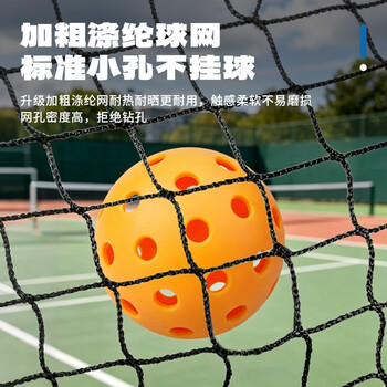 威仕顿匹克球网架 专业级室内外比赛练习训练便携式皮克球拦网架