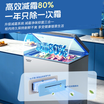 澳柯玛（AUCMA）天际线系列150升单温冷柜低霜家用卧式冰柜冰箱冷藏冷冻BC/BD-150HSNE 