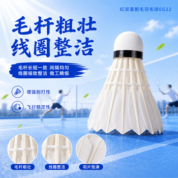 红双喜DHS鹅毛耐打羽毛球训练级EG22(12只装)