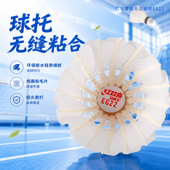 红双喜DHS鹅毛耐打羽毛球训练级EG22(12只装)
