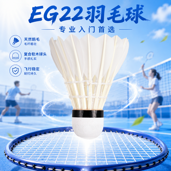 红双喜DHS鹅毛耐打羽毛球训练级EG22(12只装)